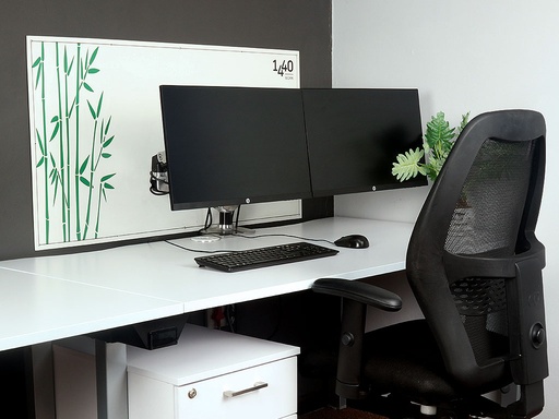 DEDICATED DESK with Monitor(s) Work Space (monthly rental)